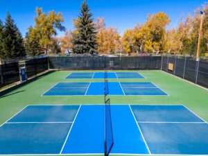 Industrial Surface Company In Cleveland, OH | Tennis Court Surfacing, Pickleball Court Surfacing, Seal Coating empty tennis courts in a public park 2026 03 18 06 47 04 utc